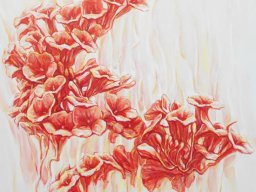 Celestial Flowers I 70x70 cm